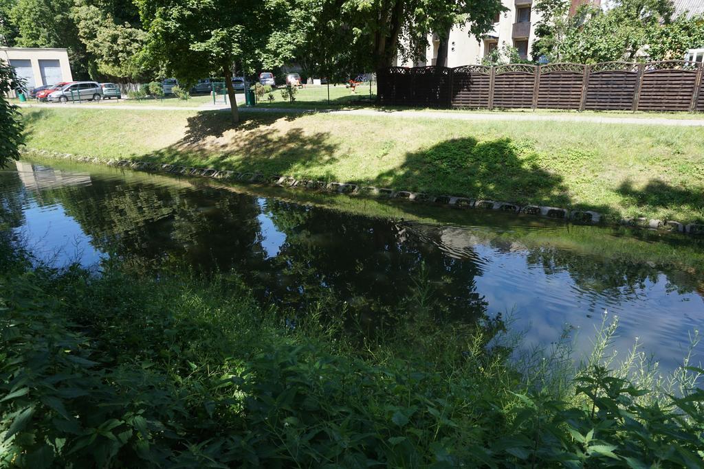 Ferienwohnung Alejos Namelis Palanga Zimmer foto